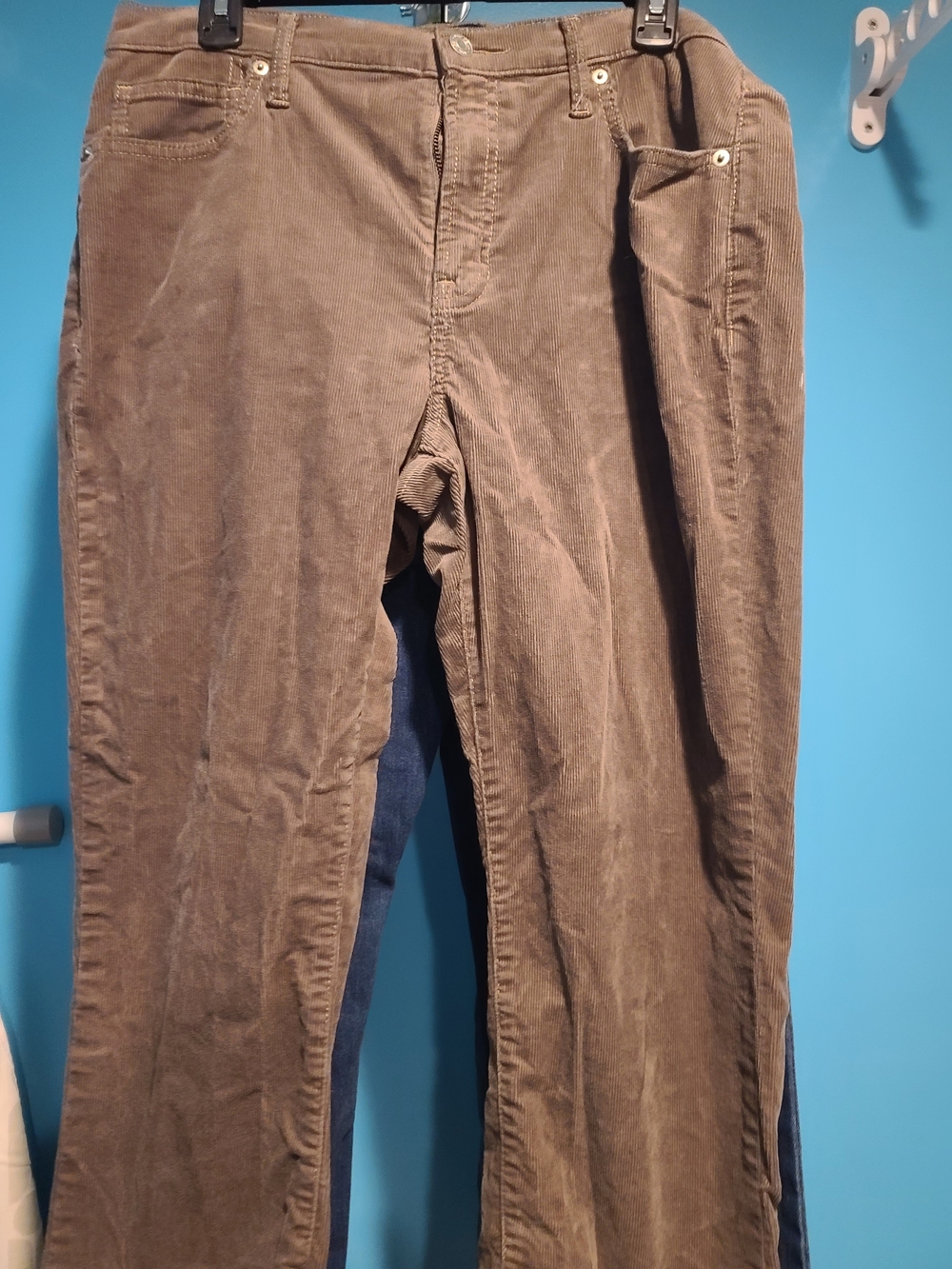 GAP Women's Baby Bootcut Corduroy Pants in Mushroom
